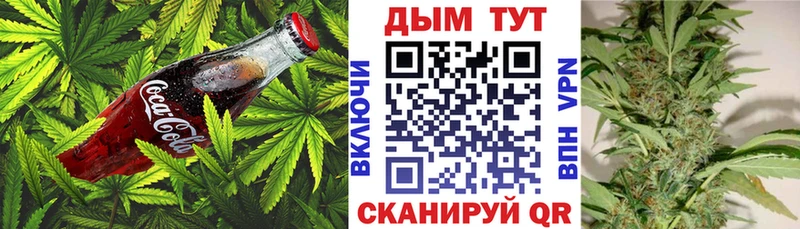 купить   это как зайти  Canna-Cookies марихуана  Снежногорск 