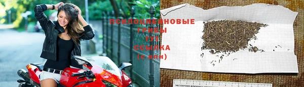 шишки Армянск