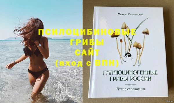 ECSTASY Аркадак