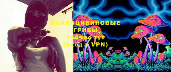 шишки Армянск