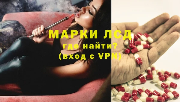 шишки Армянск