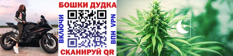 Бошки Шишки OG Kush hydra онион Снежногорск